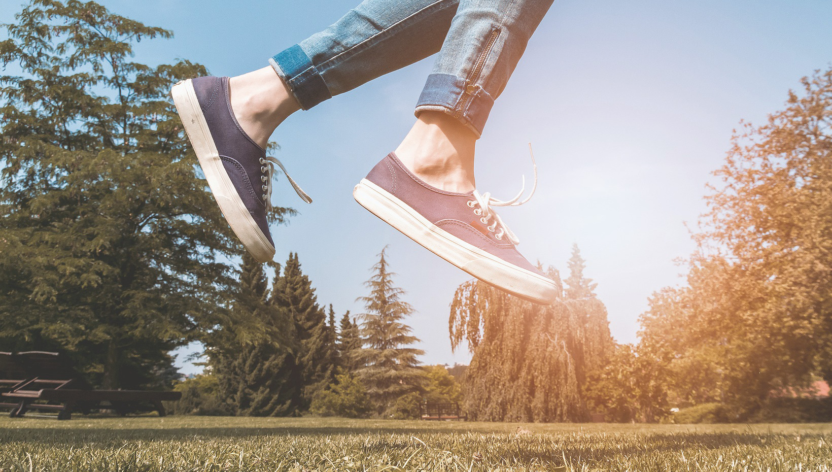 Elevate Yourself Focus da The School of We