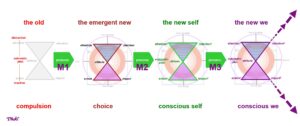 The path to consciousness